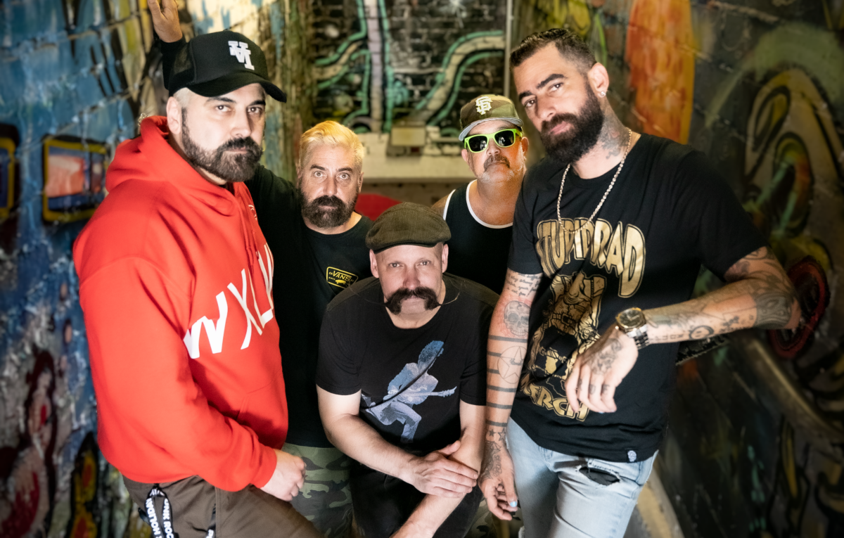 Zebrahead